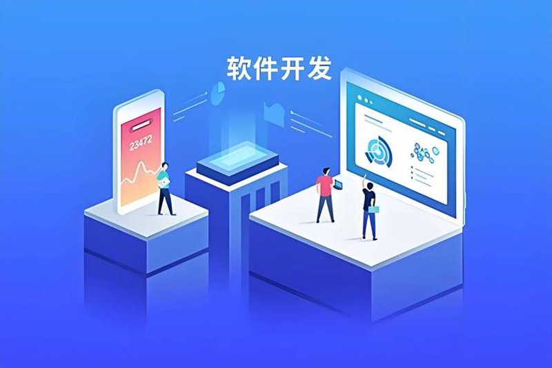 定制软件开发助力企业精准导航